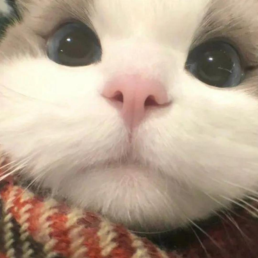 红艳（离异）