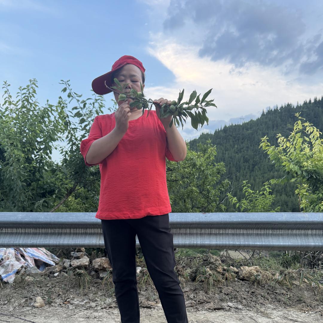 巫山脆李一家人