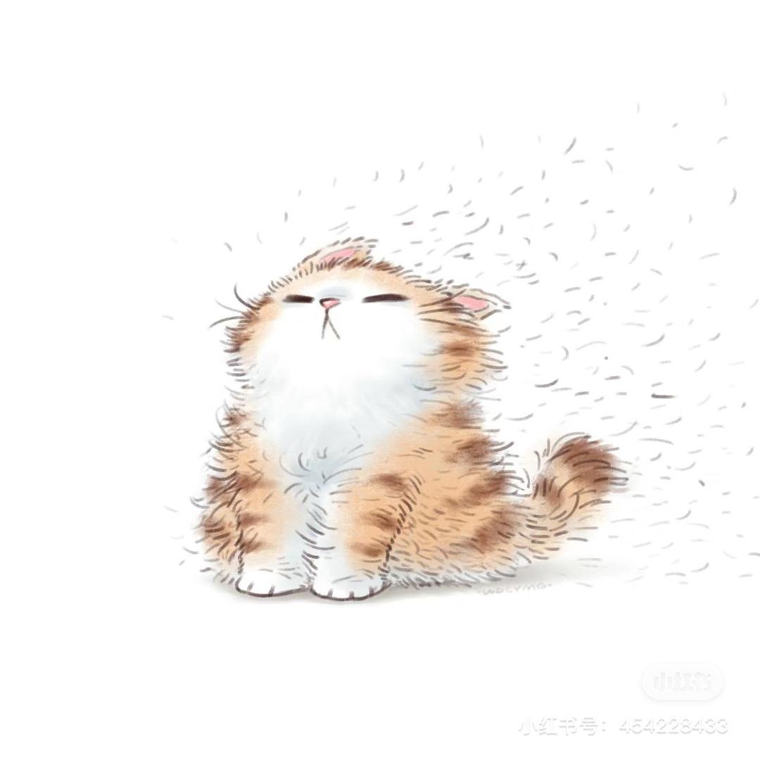 别打豆豆