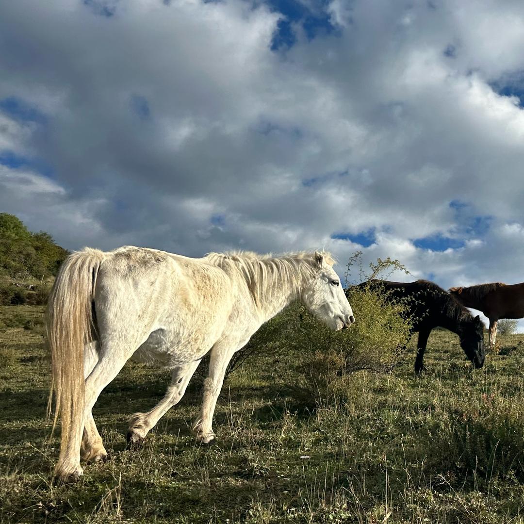 川西持证向导🏂🇨🇳.(凯凯)