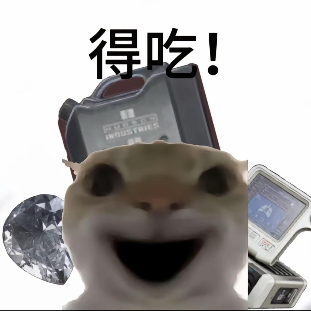 小沣（三角洲跑刀）