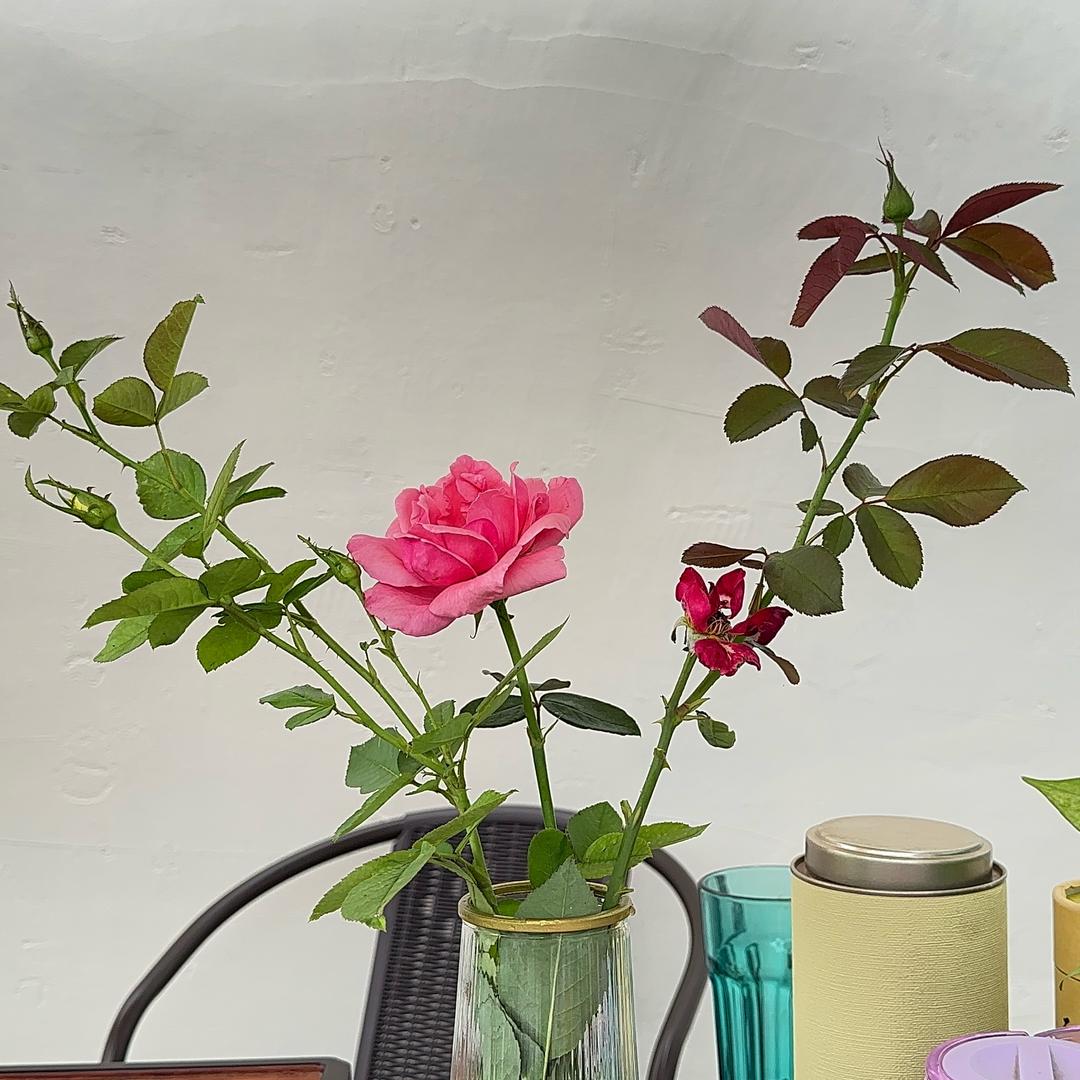 小院生活～北京篇