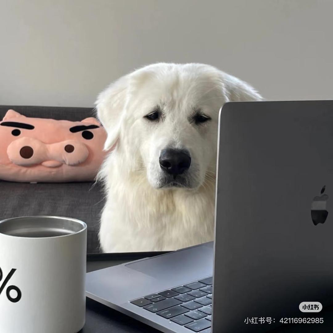 疯狂小房