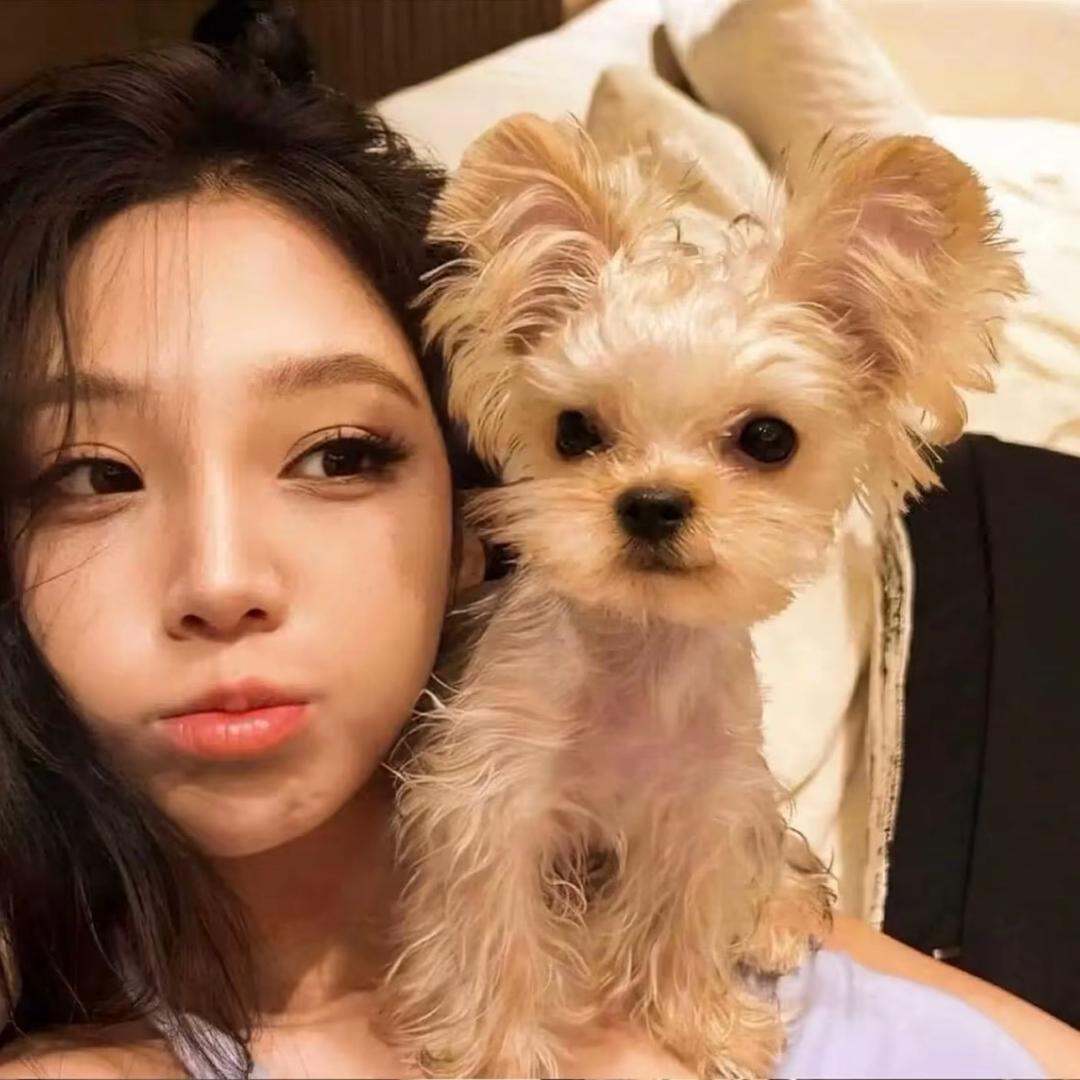 凹凸不平小怪兽