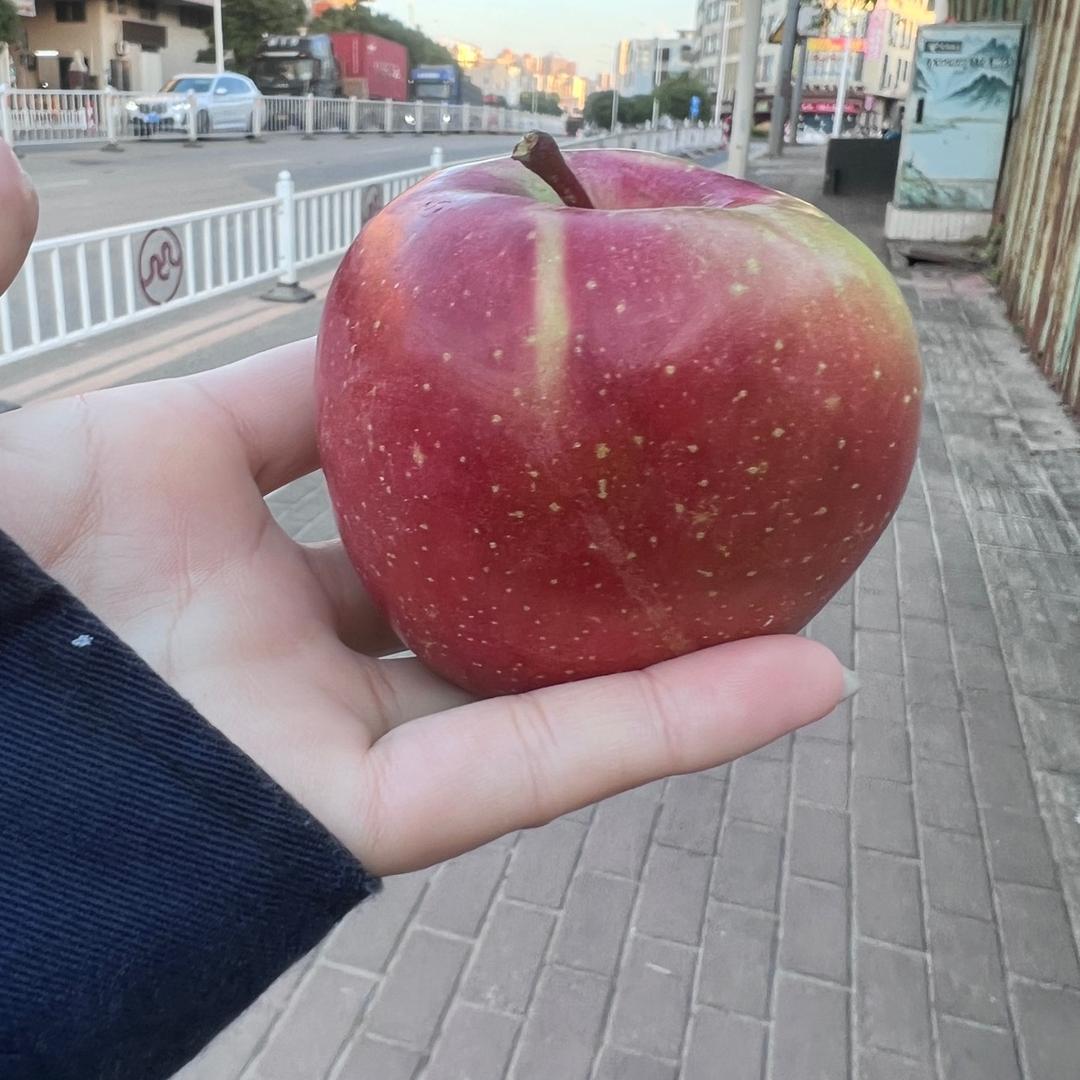 尅座兴珍草莓🍓采摘园