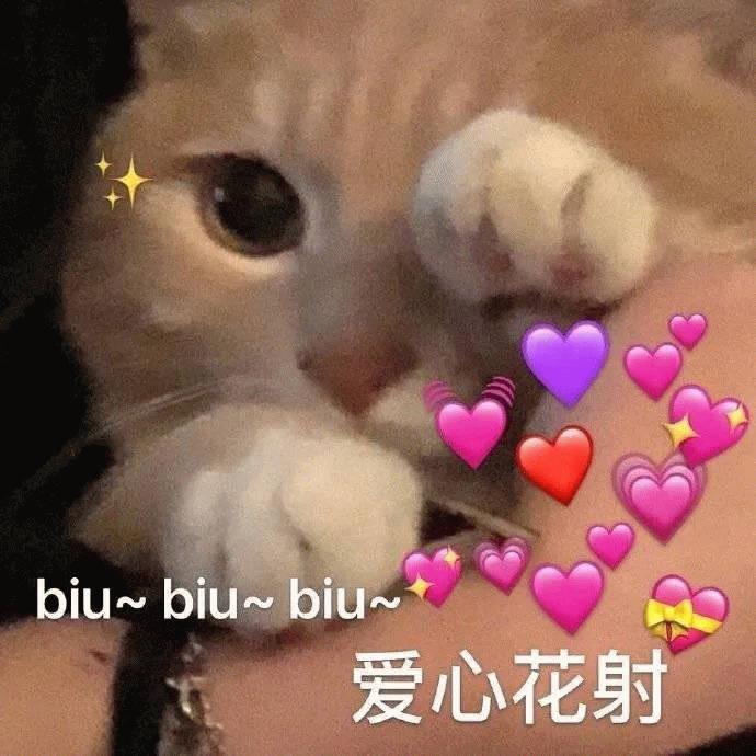 ✨猫✨