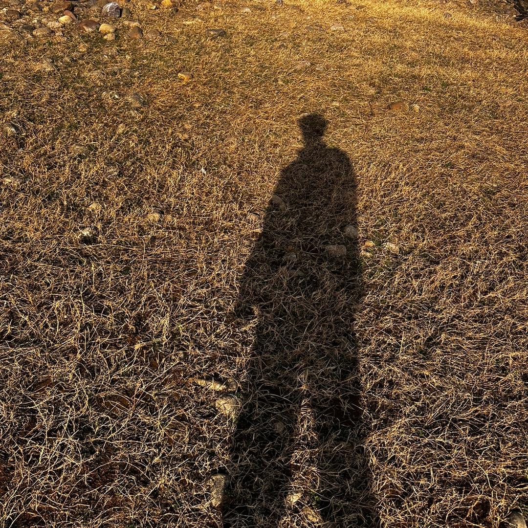 冰美式你早睡了