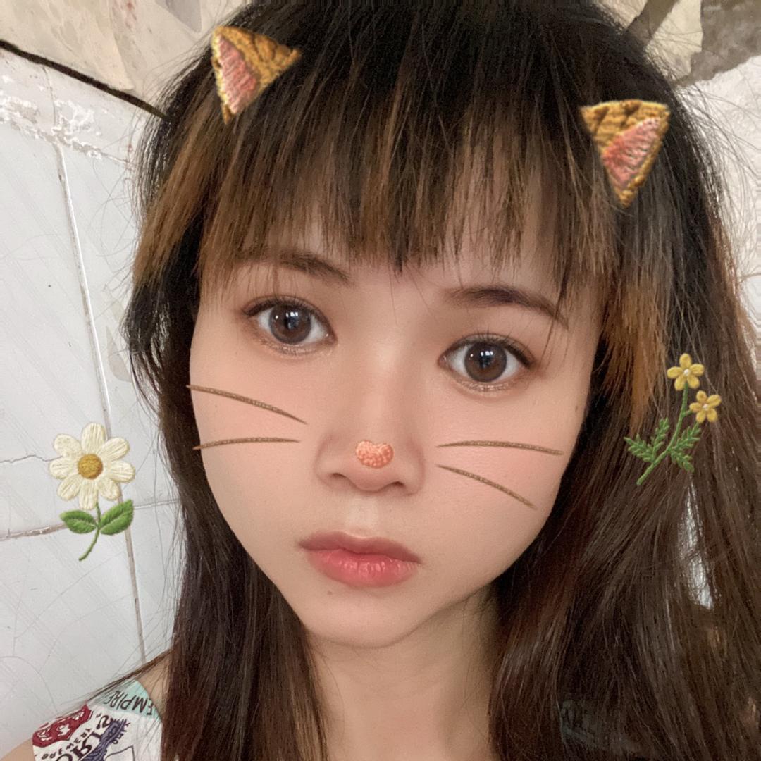 小狮子2