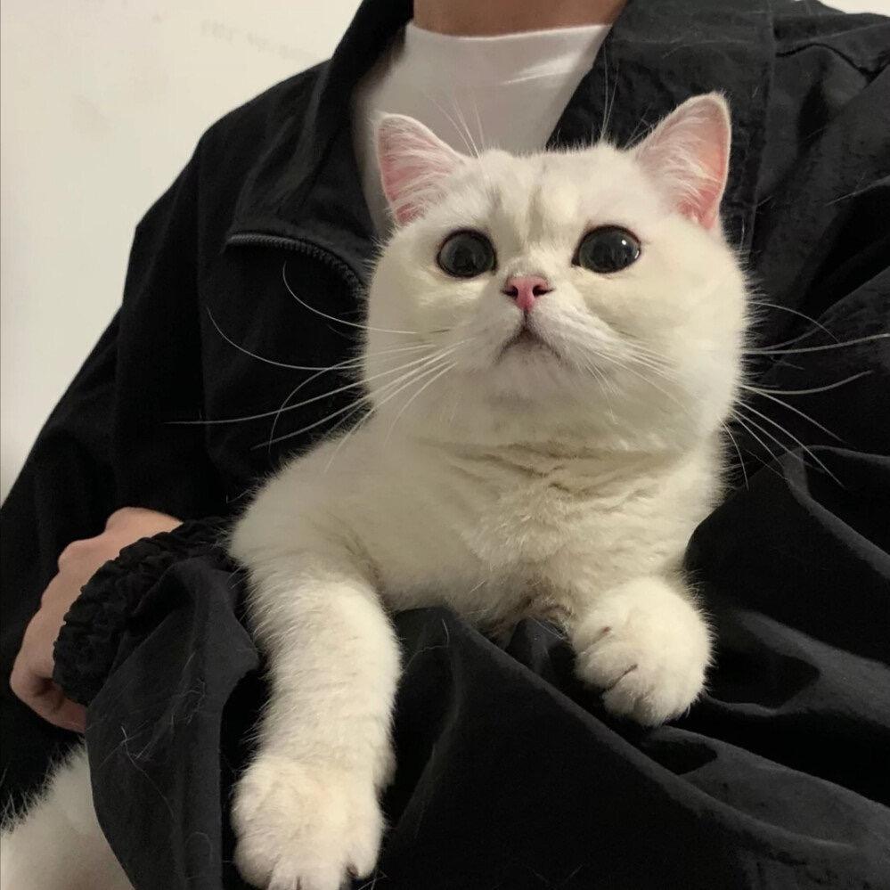 就在日落以后🌄