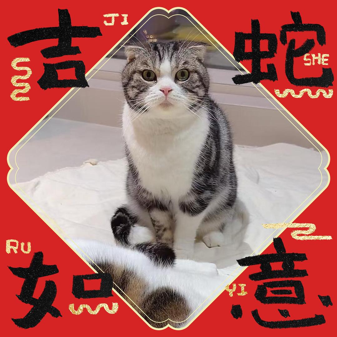 凯撒和妮娜的麻麻