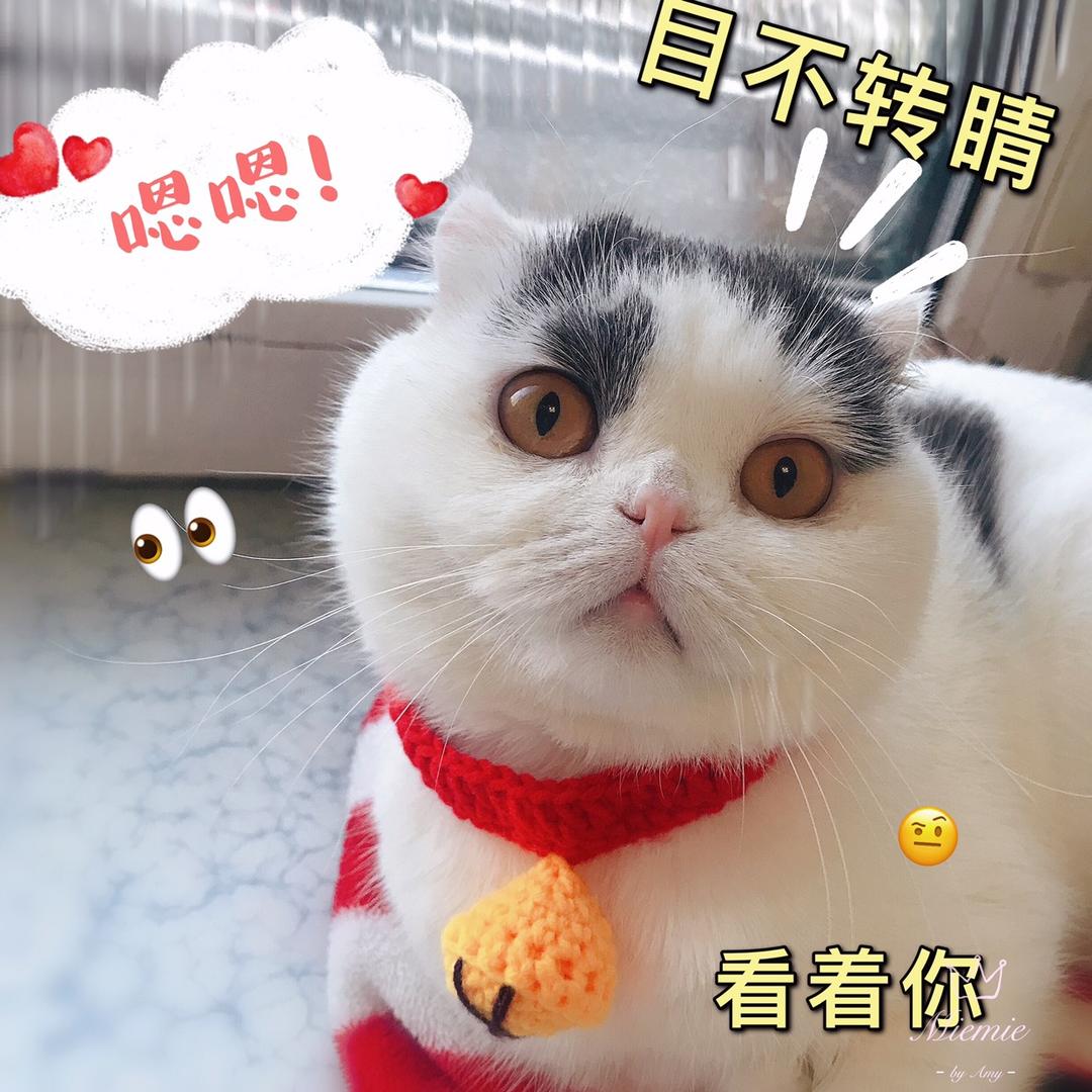 流宁628头像