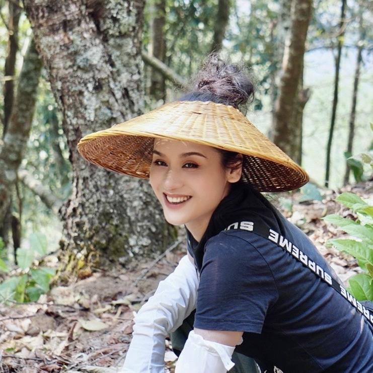 小凡•绿大树合作社