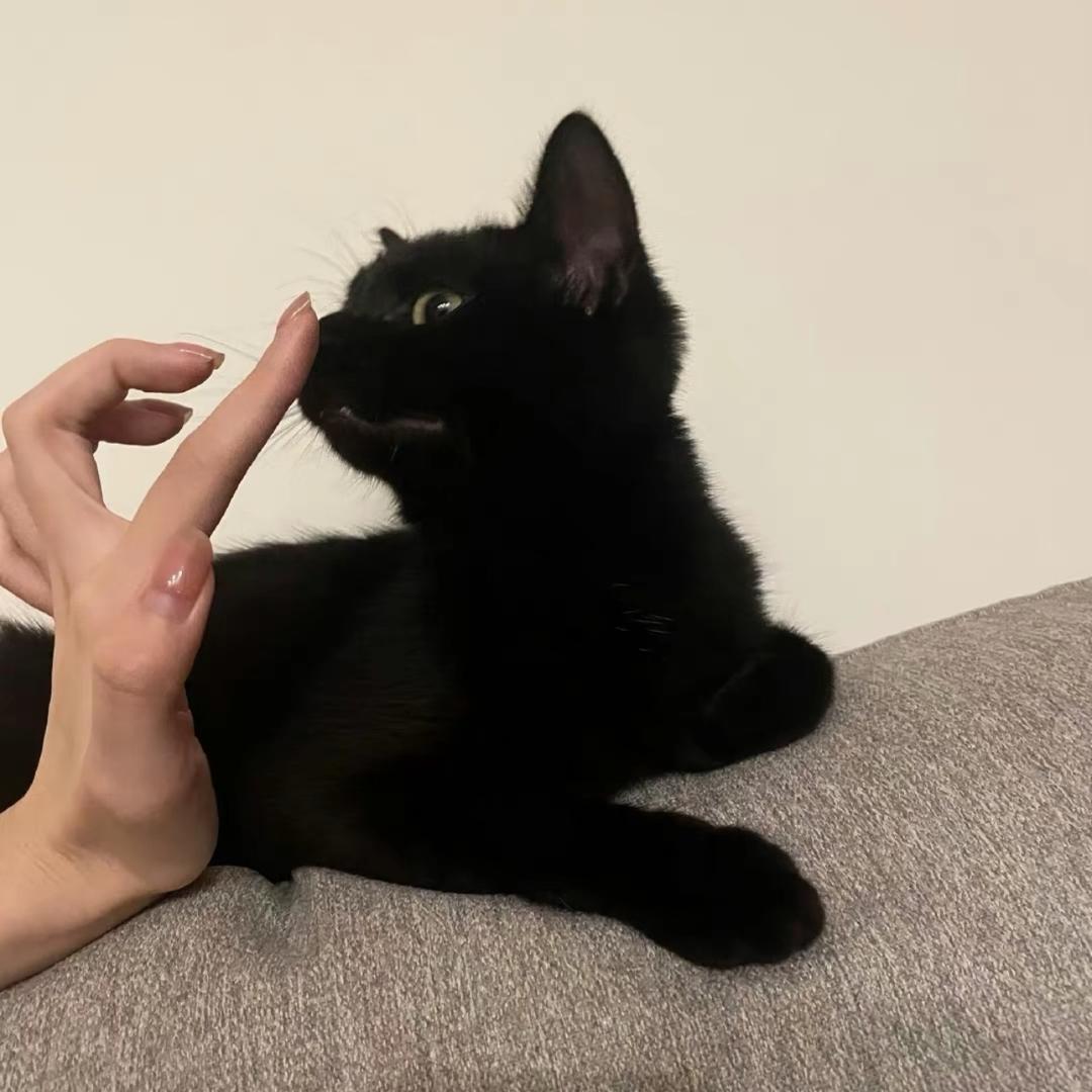 66