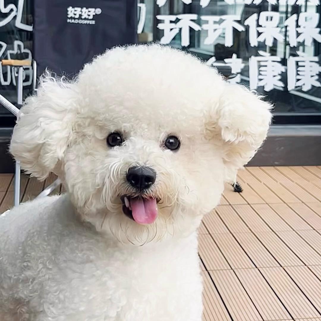 邪恶摇粒绒