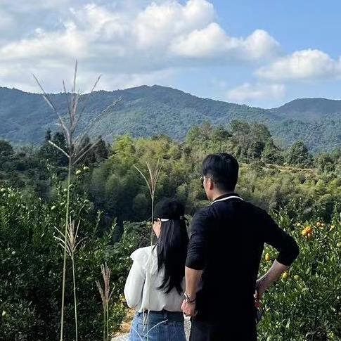诗词品鉴阁