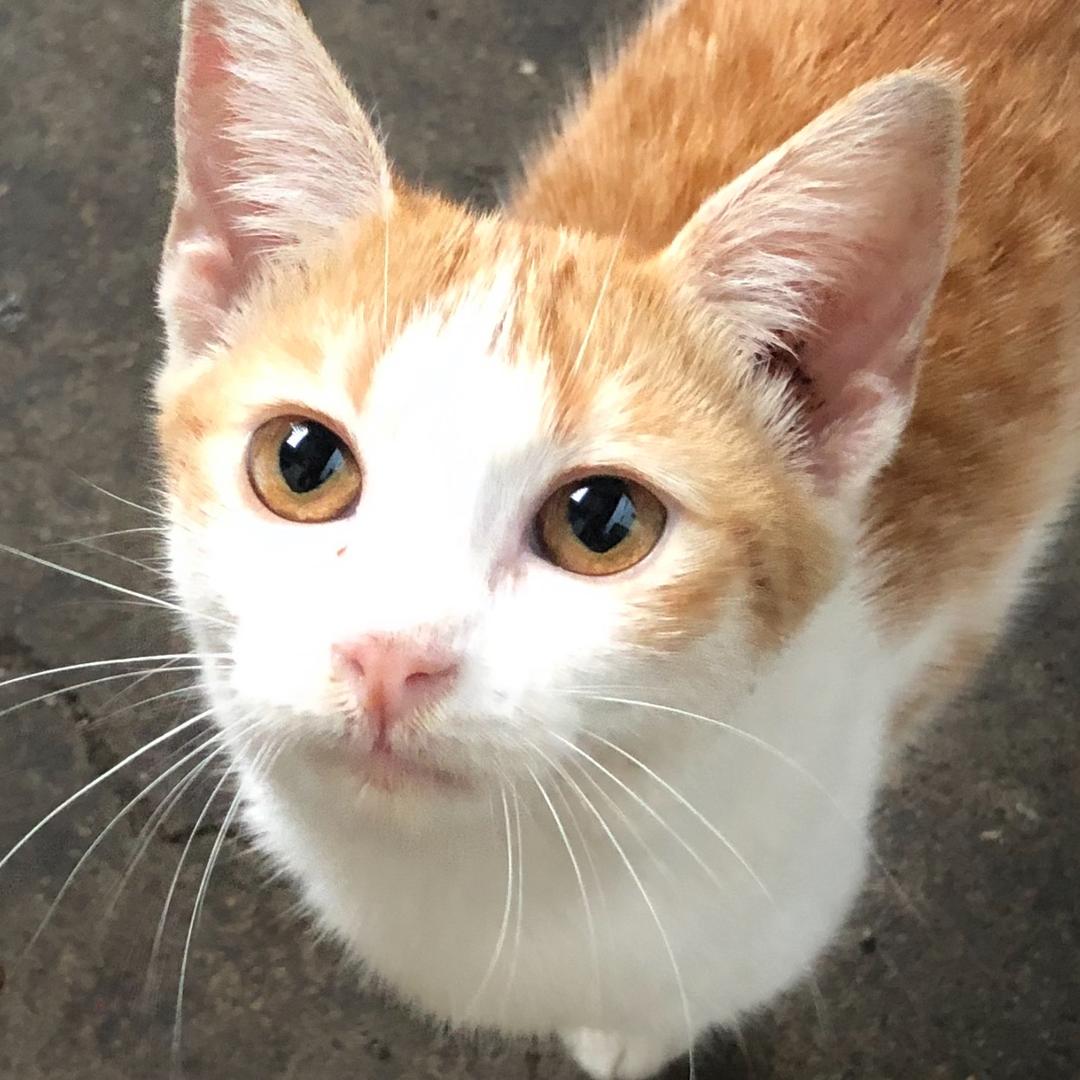 给时间缓冲一下