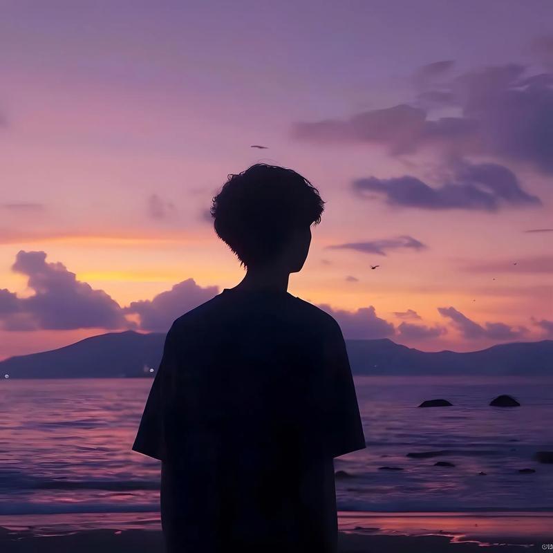 沐辰