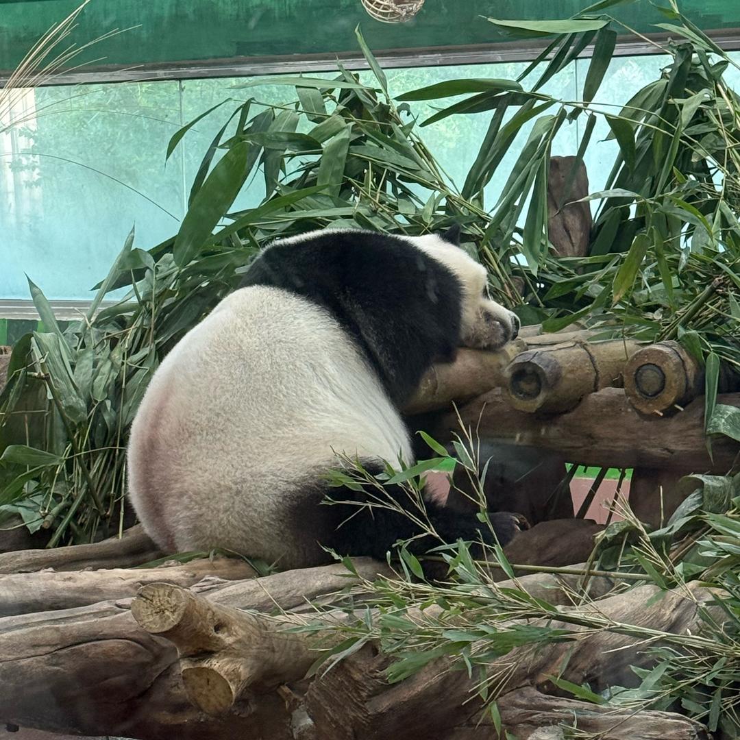 哈利播特