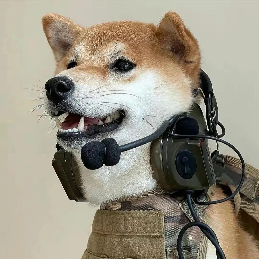 咕咕咕噜