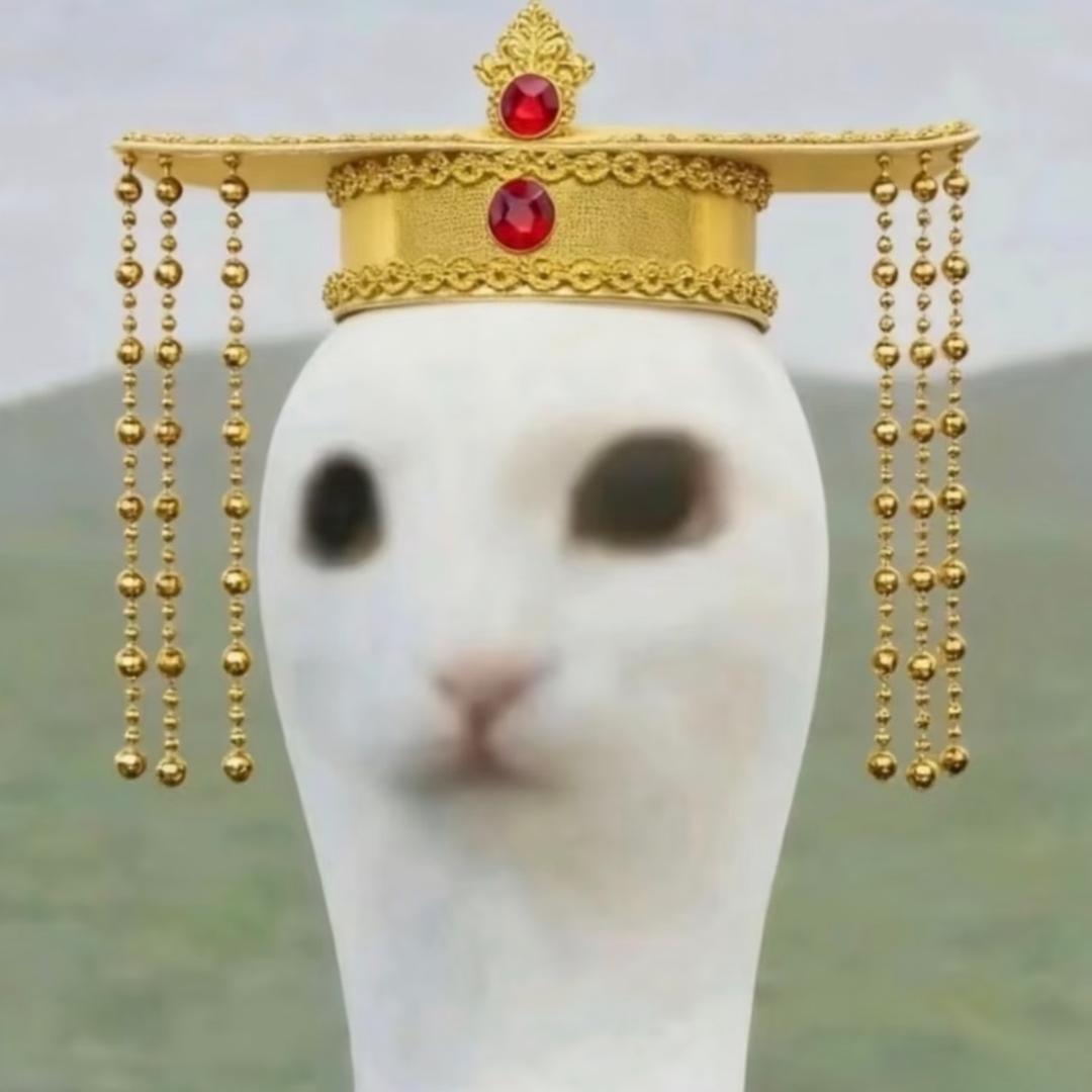 小猫.
