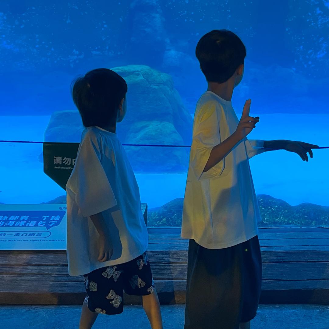 辛未小辣椒