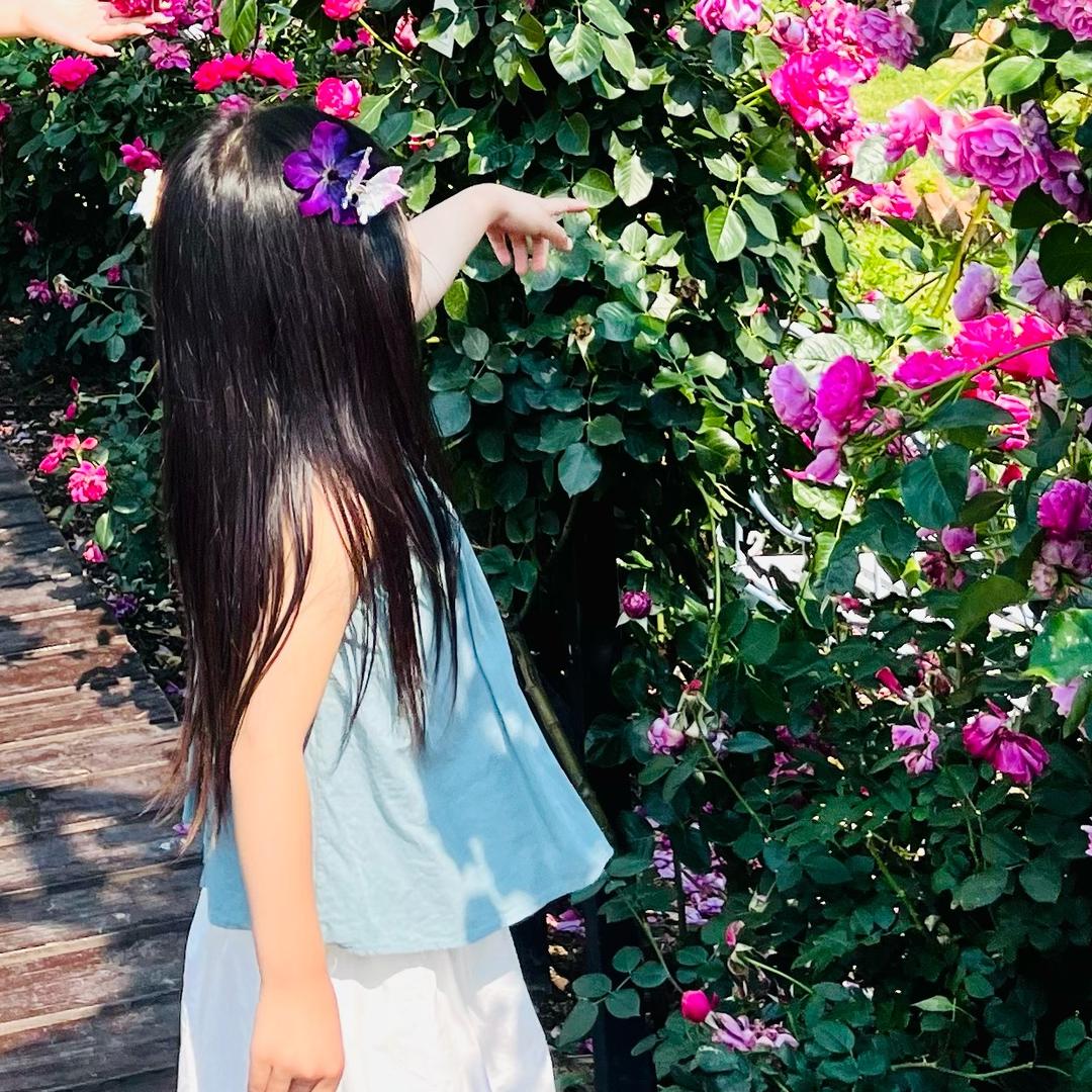 🔅橙子✔️