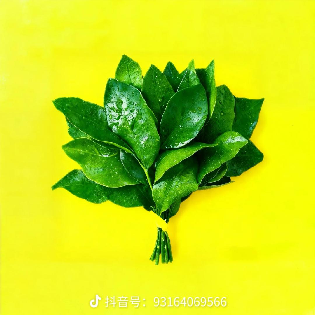 红豆🫘