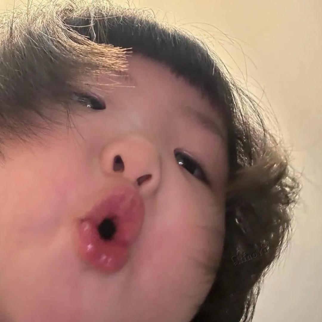 仓鼠