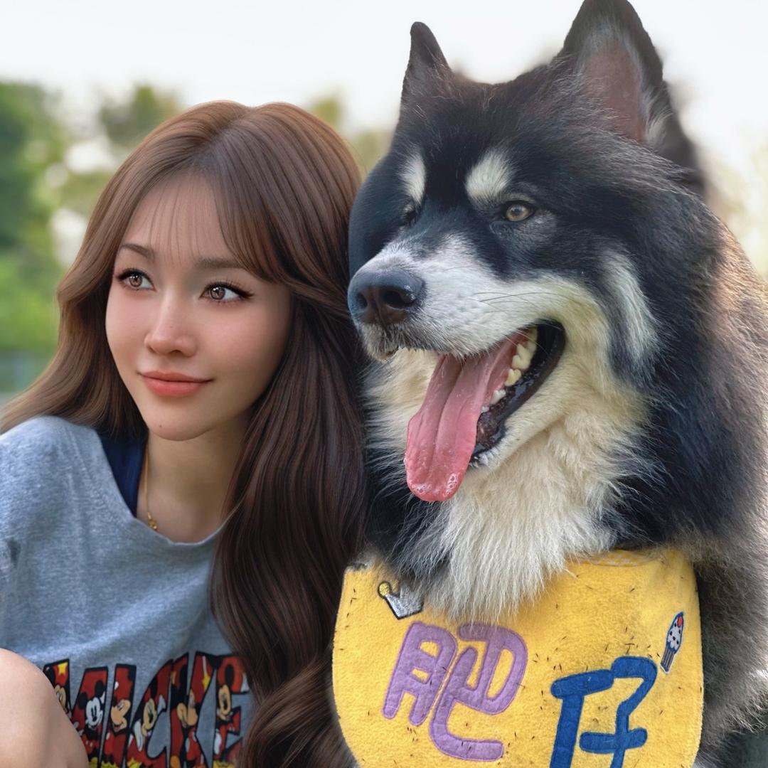 14只阿拉的铲屎官