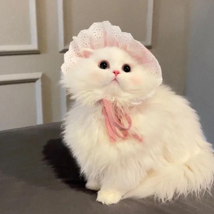 徐小珂