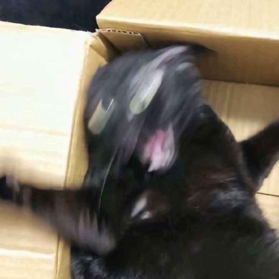 keweii