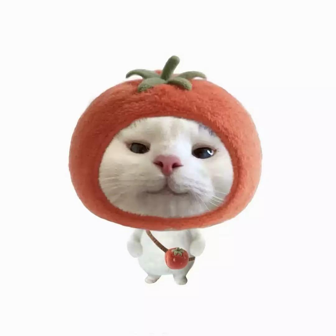 思颖吖🍑