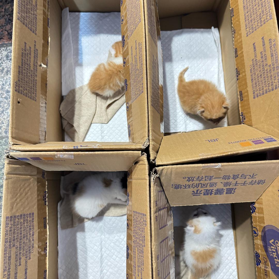 相亲相爱一锅端