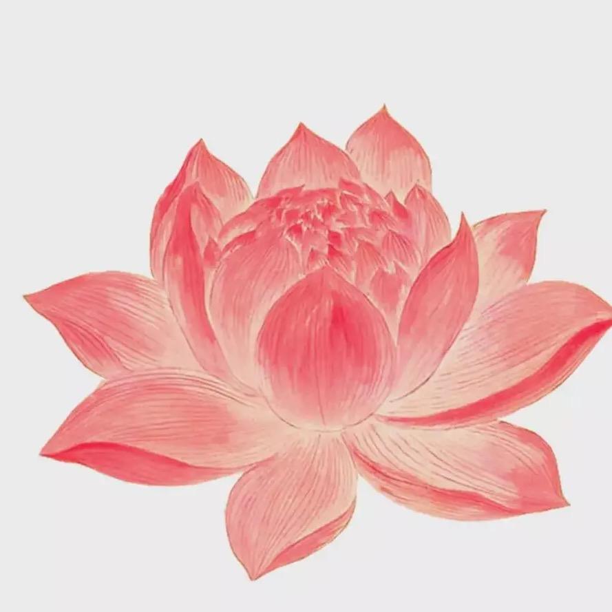 黄帝内经交流群 佛学问答