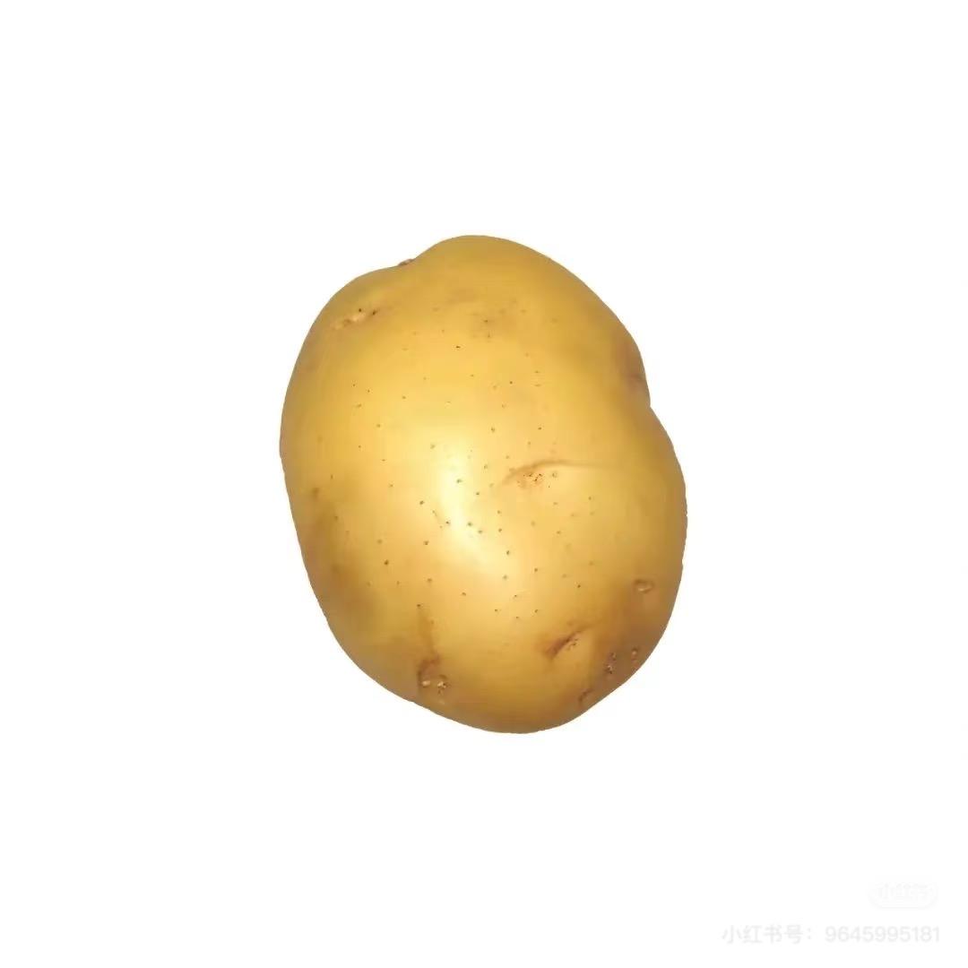 桔梗