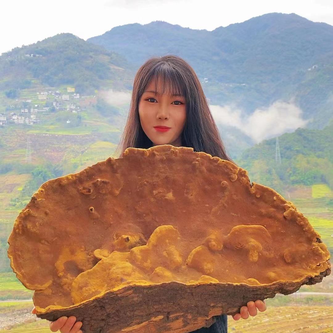 西藏桑黄山村夫人产地中草药滋补3号铺