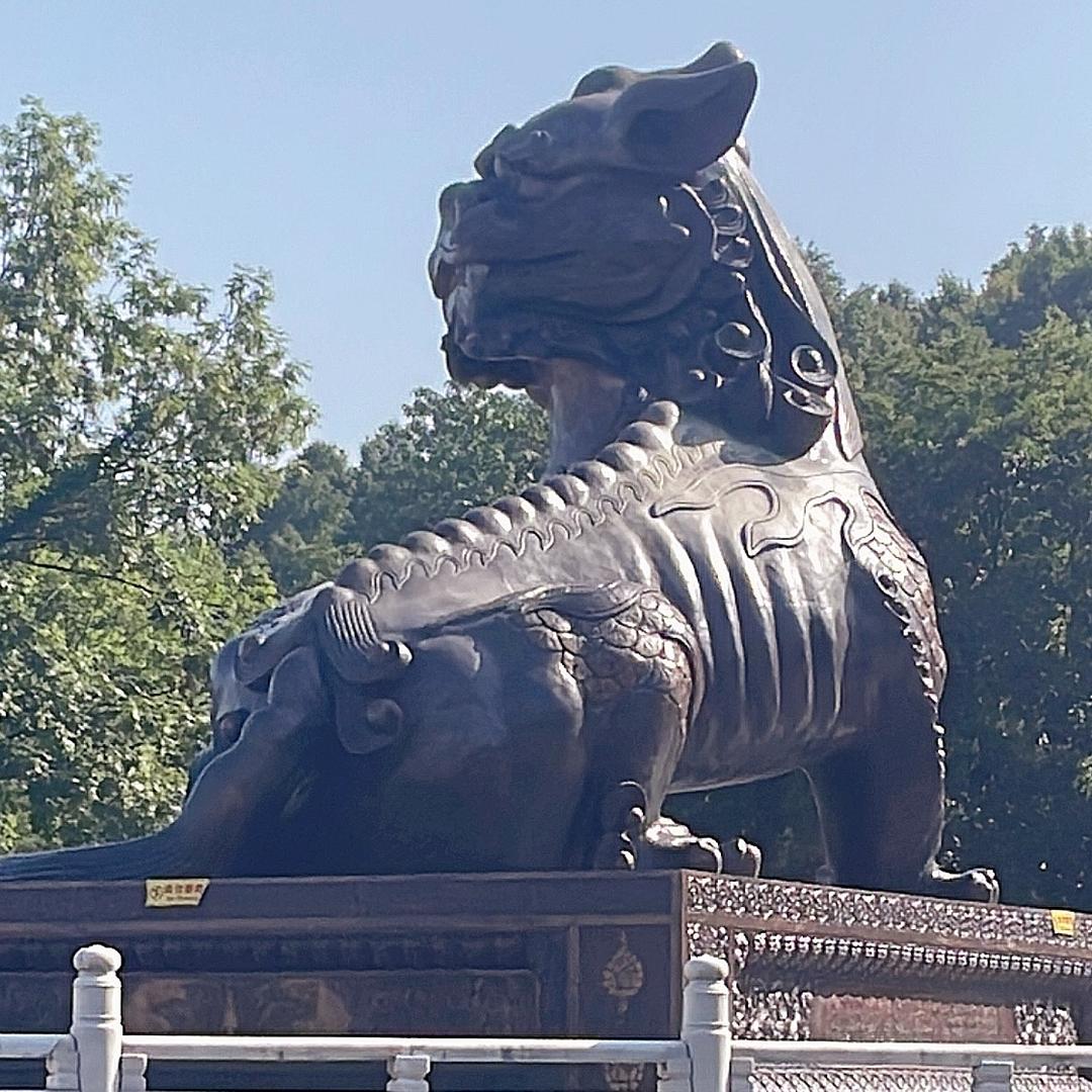 🐲一路朝阳📿