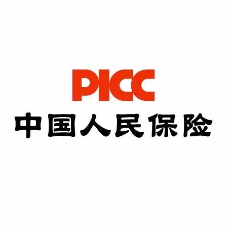 定兴人保