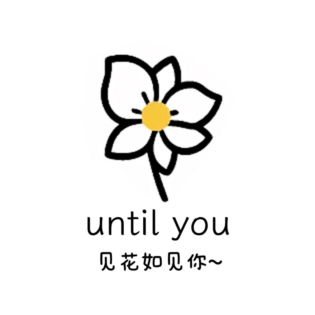 until you等到你