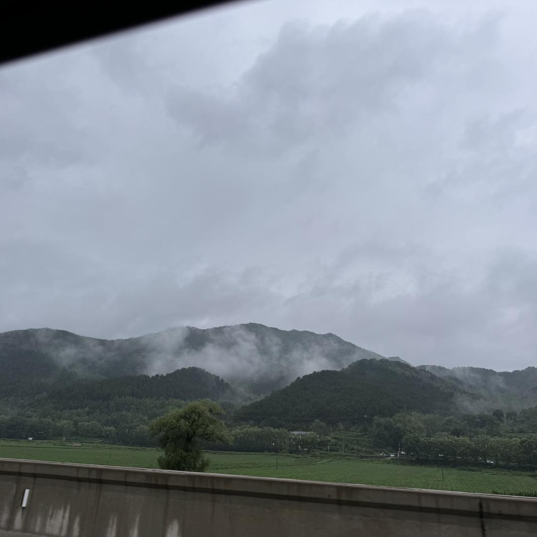 沐阳的包包十号