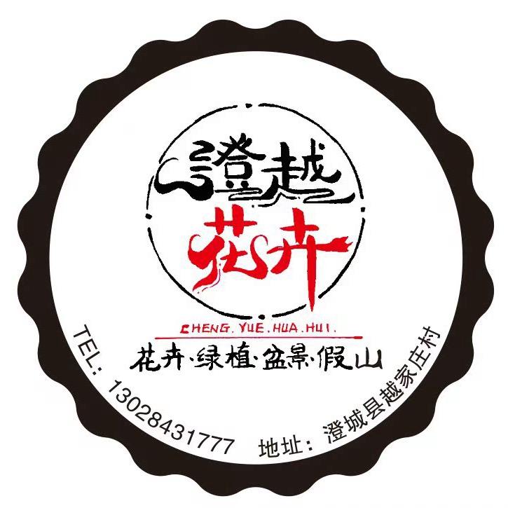 🌸澄越花卉.小郭