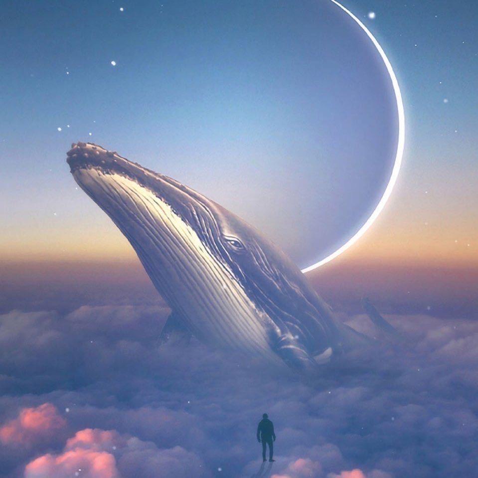 靠近我  我有正能量