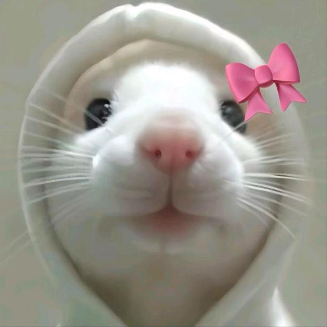 Eira rosy