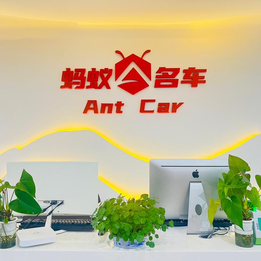 蚂蚁二手车-重庆