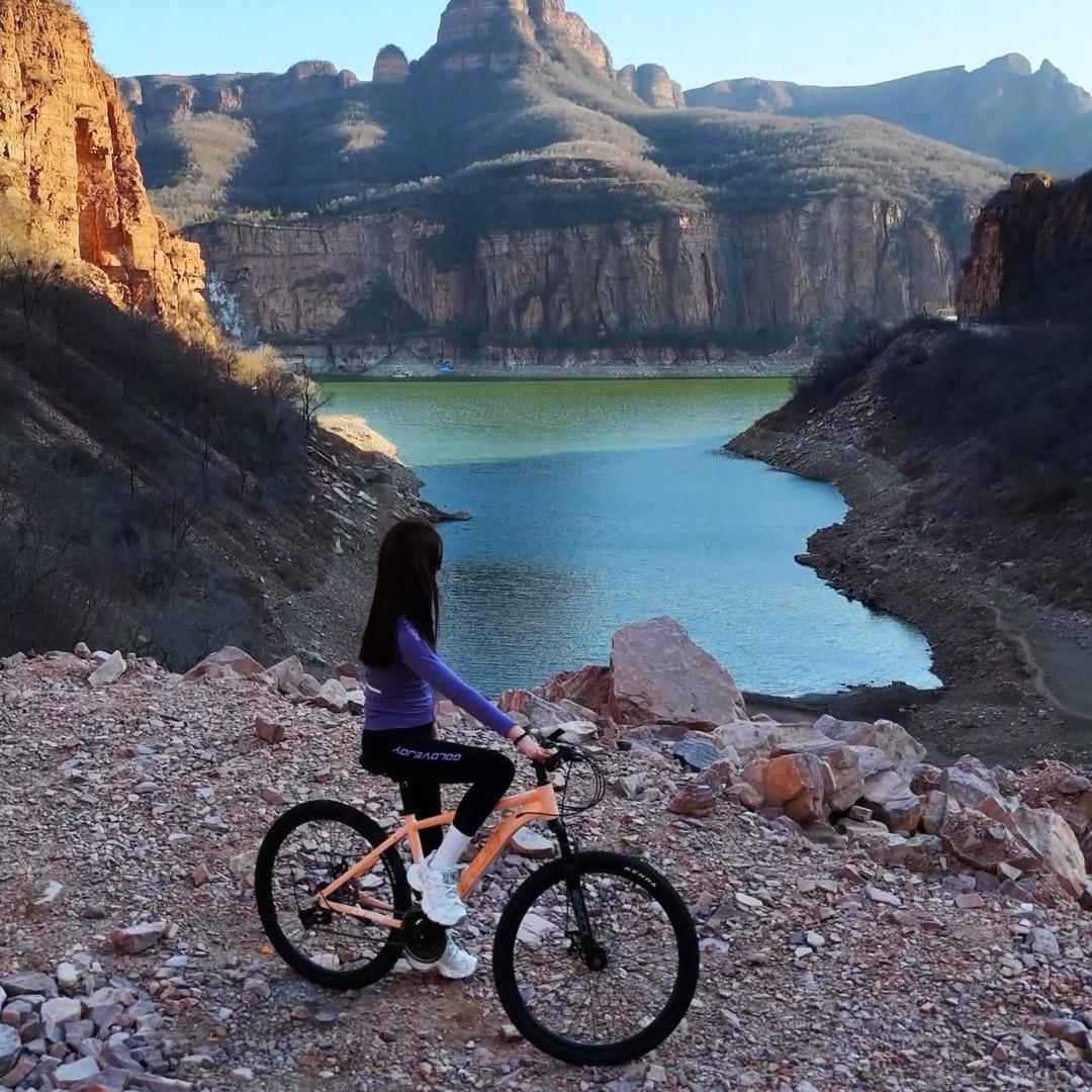 凤凰贝伊纳自行车专卖店