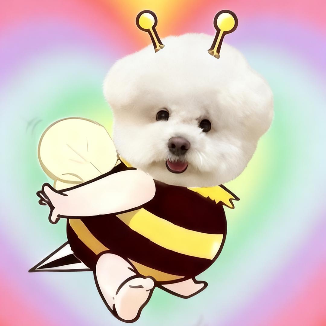 金no日记