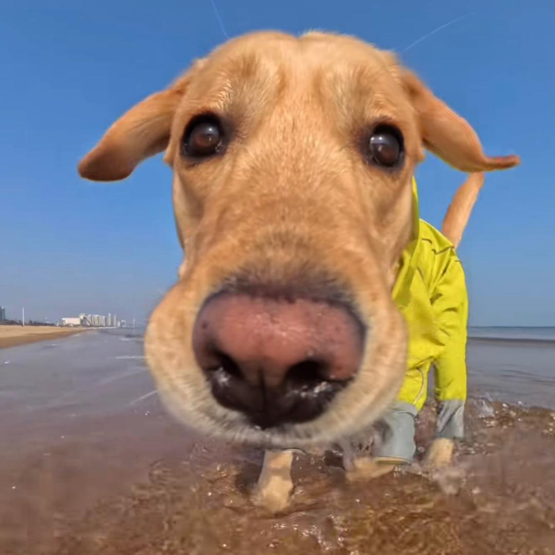 肚子咕咕叫不停