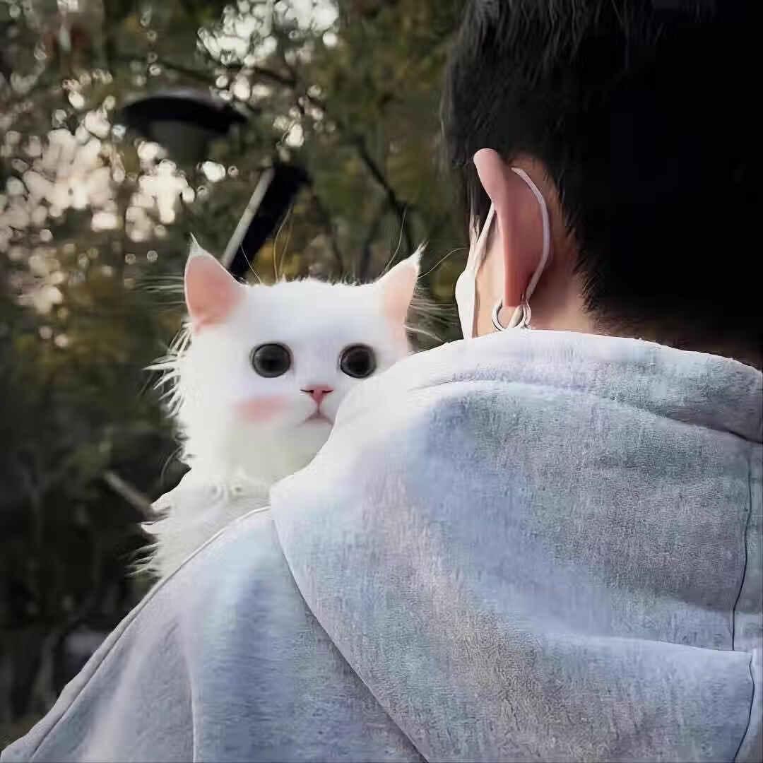 Aimé vous.