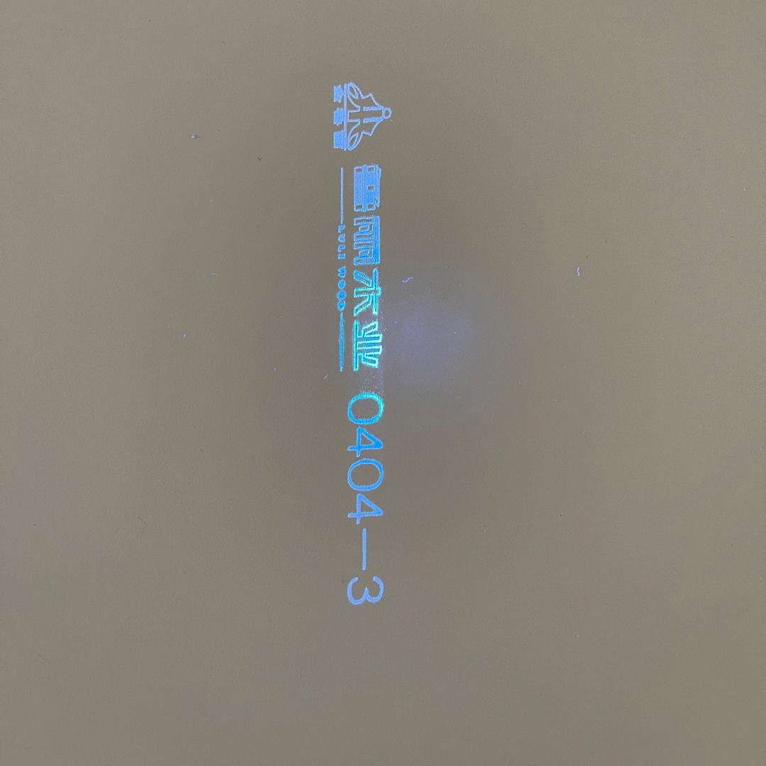 辽宁鲁丽精板炸裂受害者