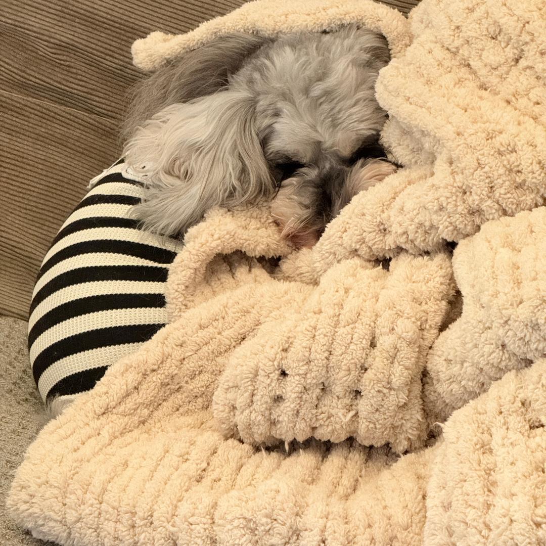 Mini小怪伙食记🥣